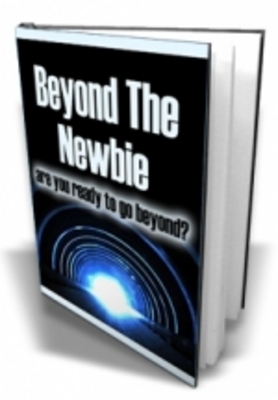 Product picture *NEW*  Beyond The Newbie  With MRR