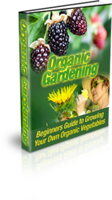 Product picture *NEW Organic Gardening for Beginners  With MRR