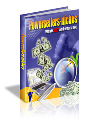 Product picture *NEW Powerseller Niches  With MRR